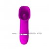 PRETTY LOVE - RUDOLF, 30 function